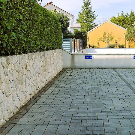 Luxury Aronia Διαμέρισμα Vantacici