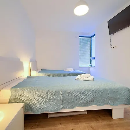 Luxury Aronia Vantacici