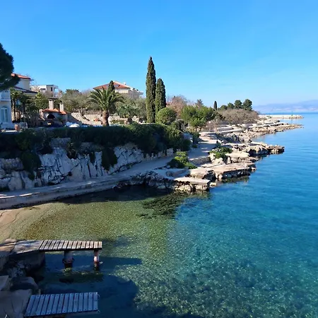 Luxury Aronia * Vantacici