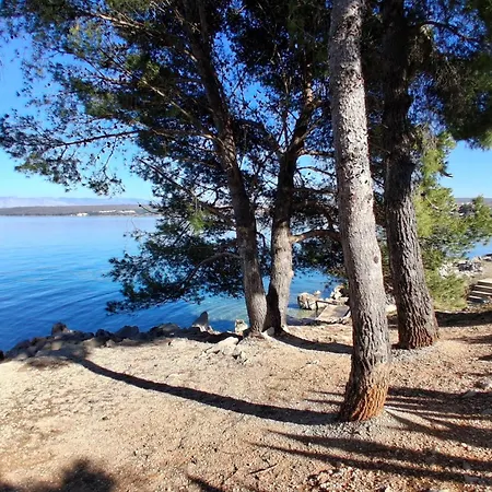 Apartment Luxury Aronia